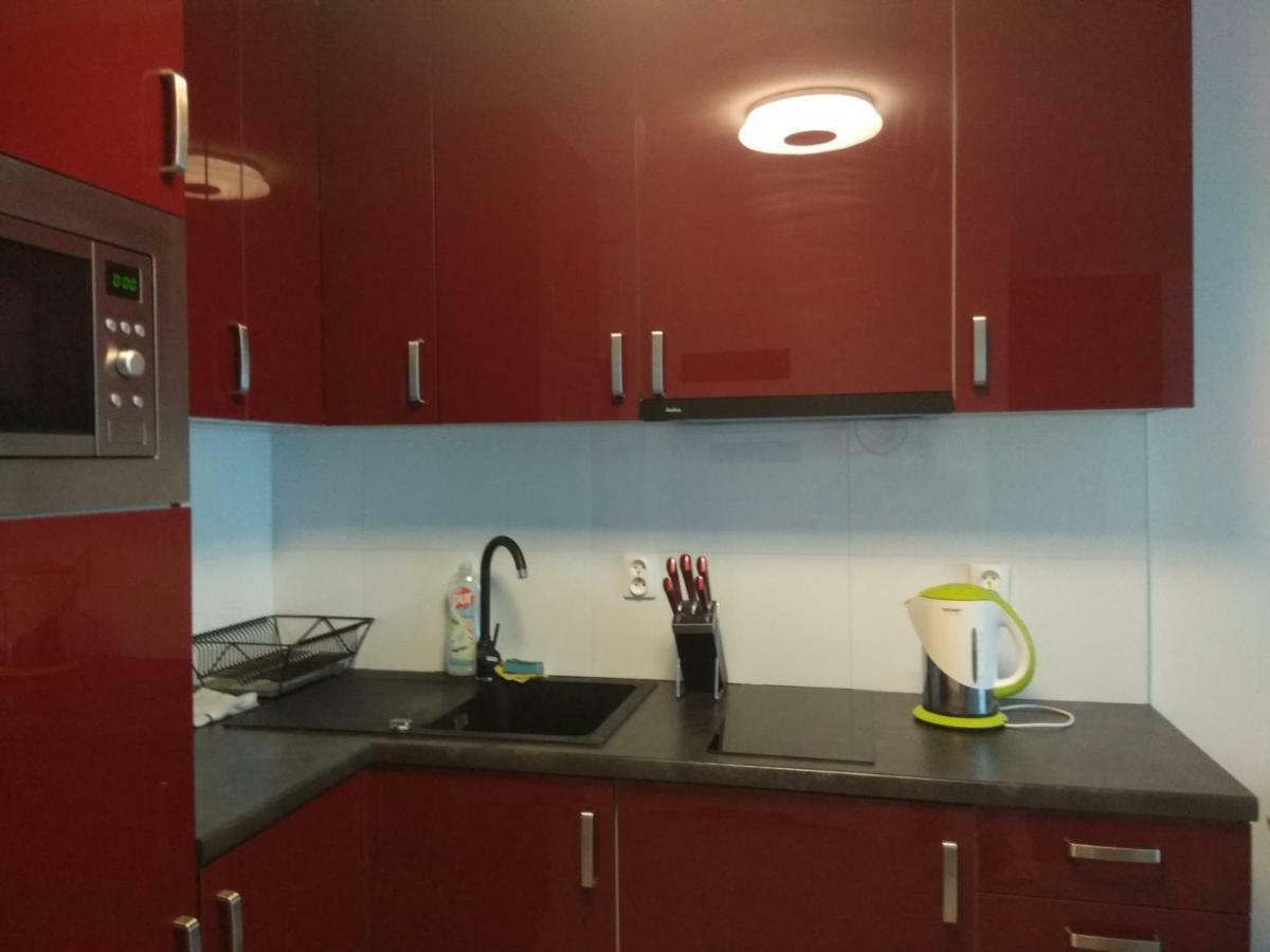 Cherry Apartament W Scislym Centrum Varşova Dış mekan fotoğraf